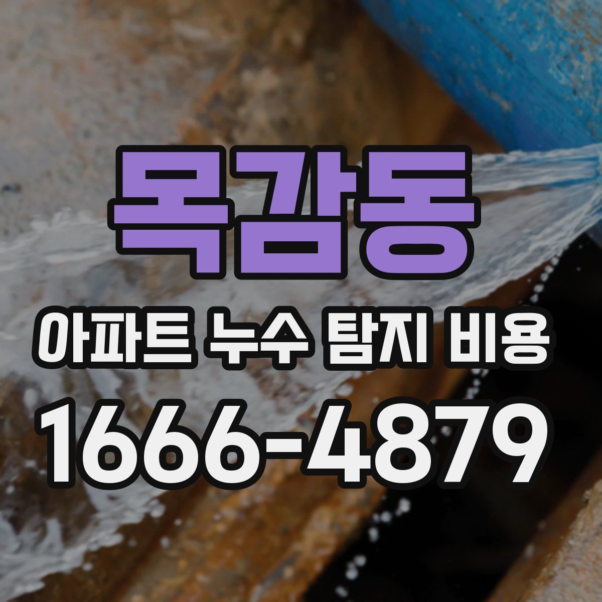 목감동 아파트 누수 탐지 비용