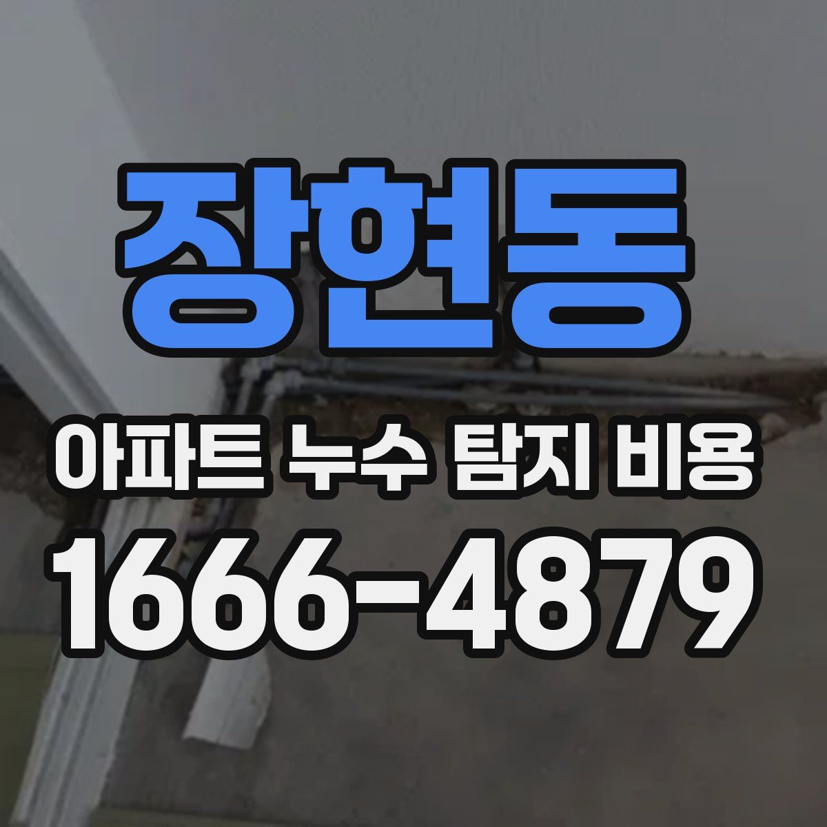장현동 아파트 누수 탐지 비용