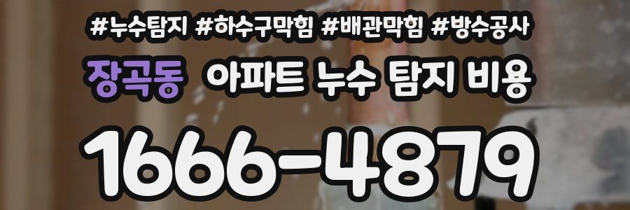 장곡동 아파트 누수 탐지 비용