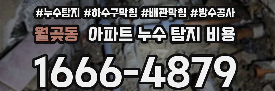 월곶동 아파트 누수 탐지 비용