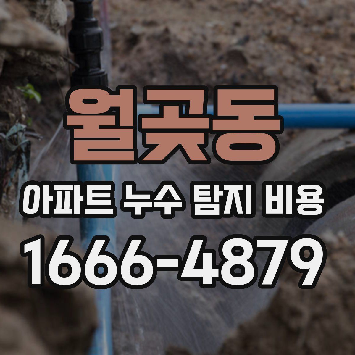 월곶동 아파트 누수 탐지 비용