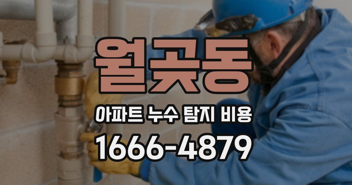 월곶동 아파트 누수 탐지 비용