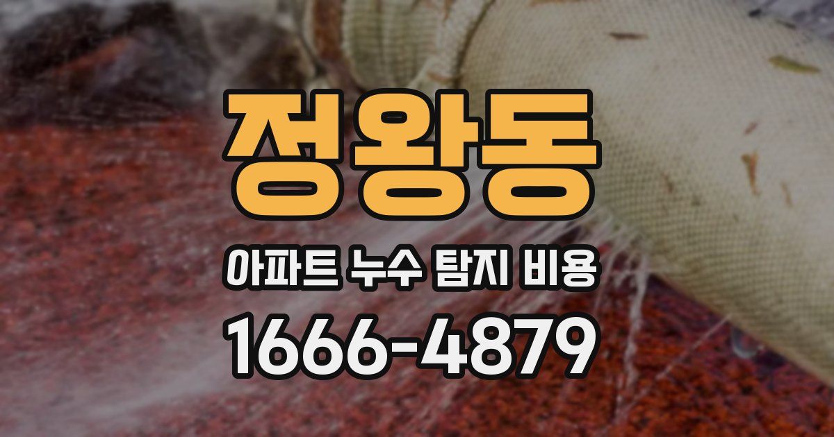 정왕동 아파트 누수 탐지 비용