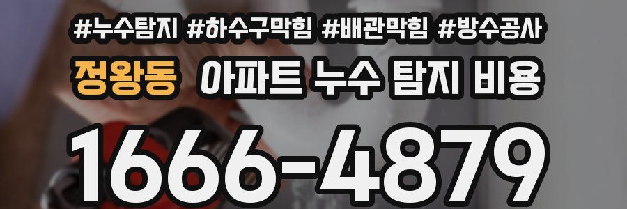정왕동 아파트 누수 탐지 비용