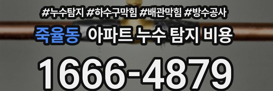죽율동 아파트 누수 탐지 비용