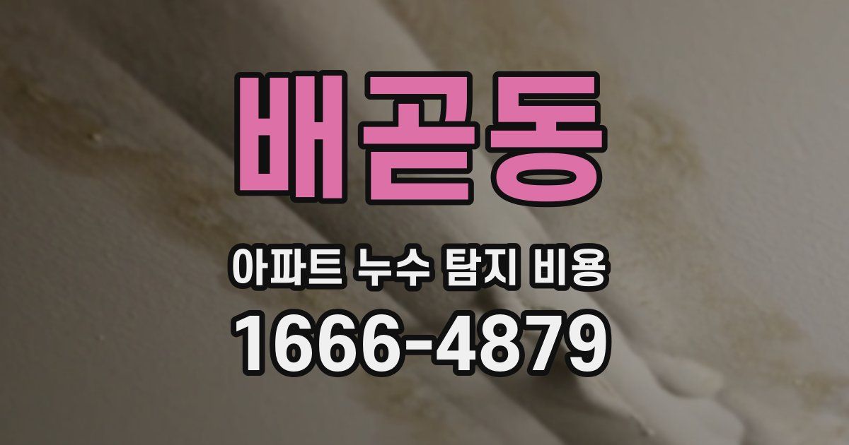 배곧동 아파트 누수 탐지 비용