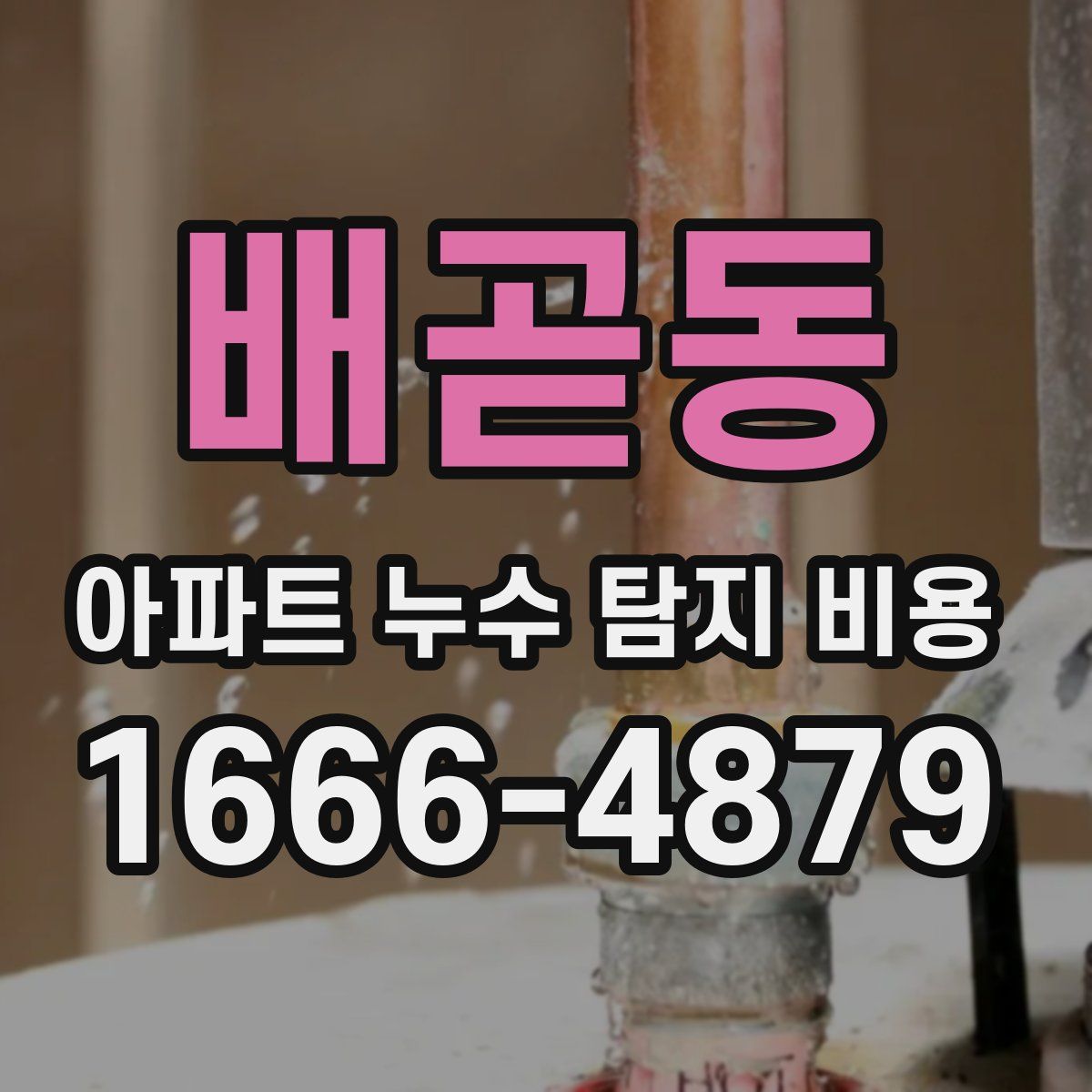 배곧동 아파트 누수 탐지 비용