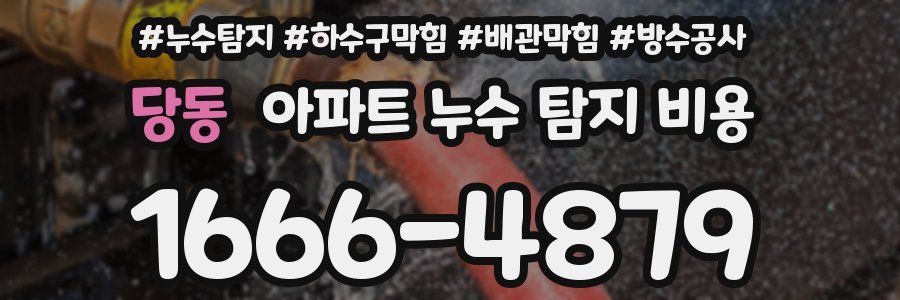 당동 아파트 누수 탐지 비용