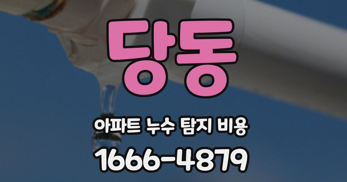 당동 아파트 누수 탐지 비용