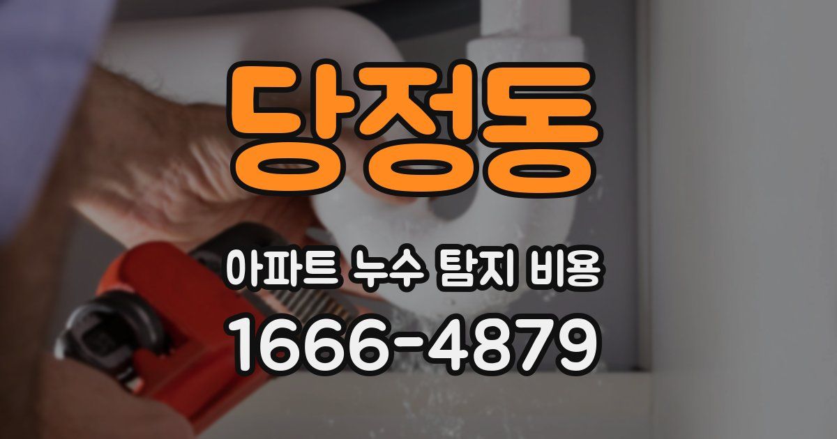 당정동 아파트 누수 탐지 비용