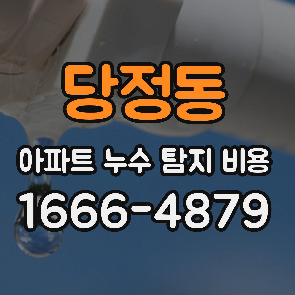 당정동 아파트 누수 탐지 비용