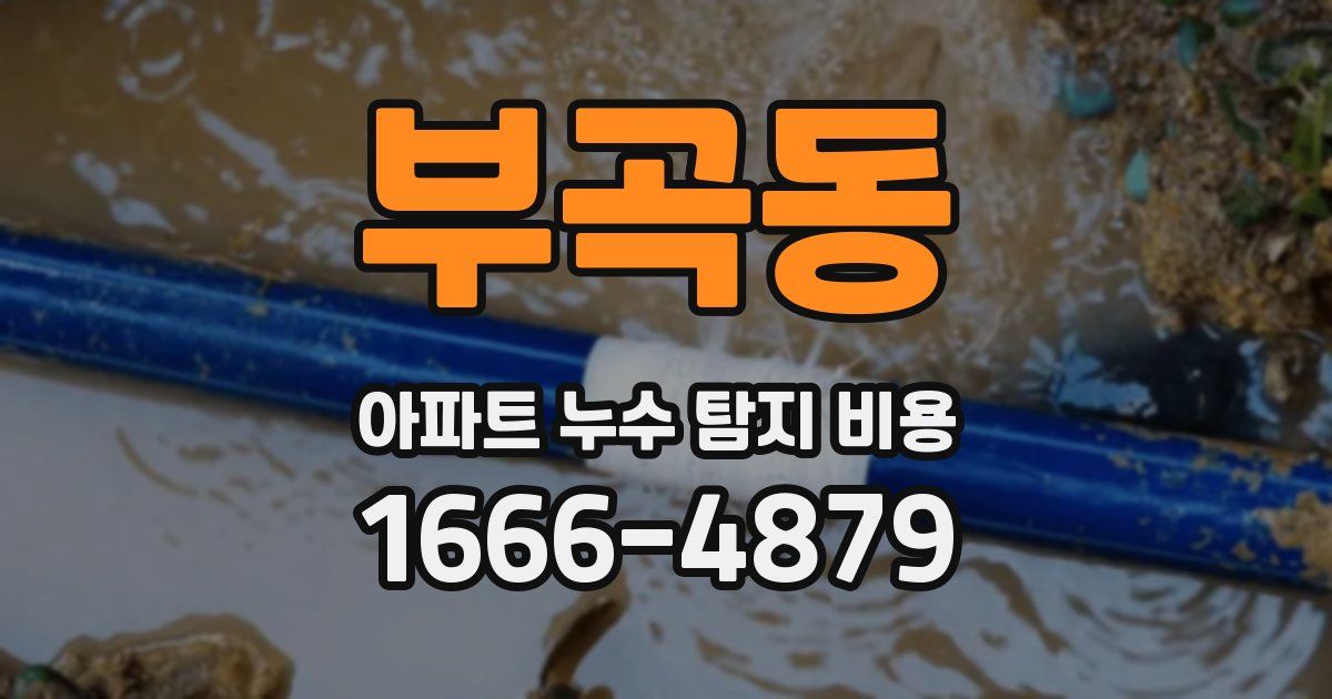 부곡동 아파트 누수 탐지 비용