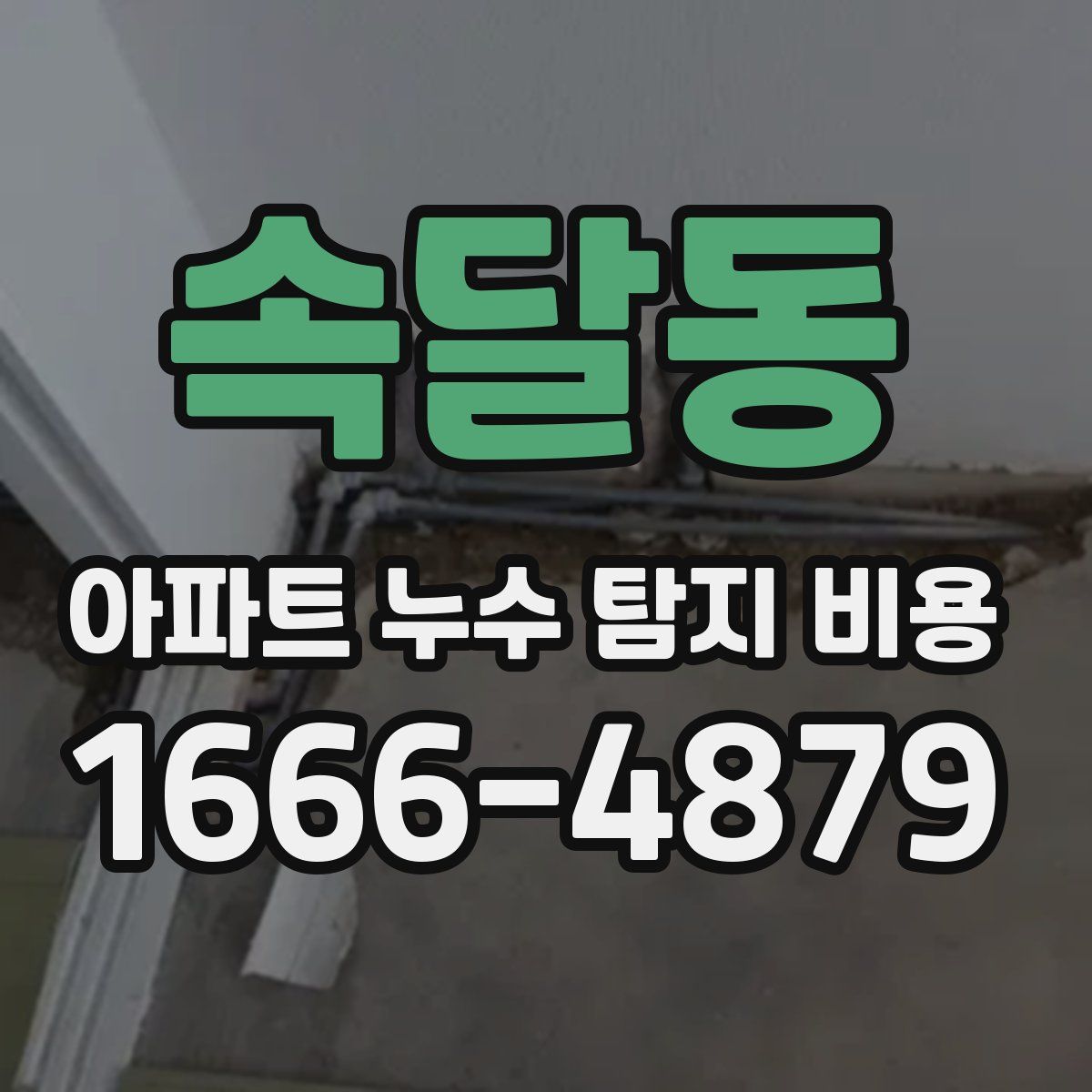 속달동 아파트 누수 탐지 비용