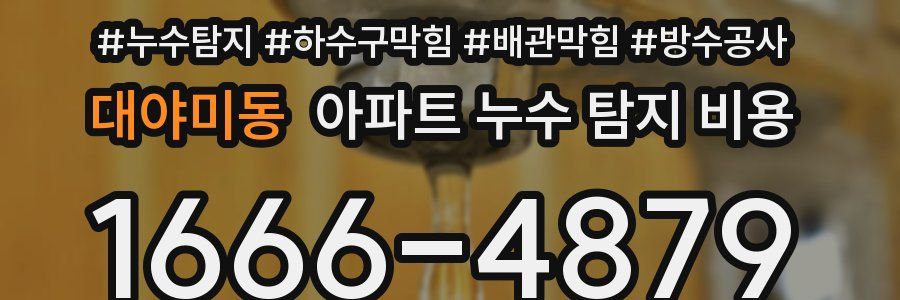 대야미동 아파트 누수 탐지 비용