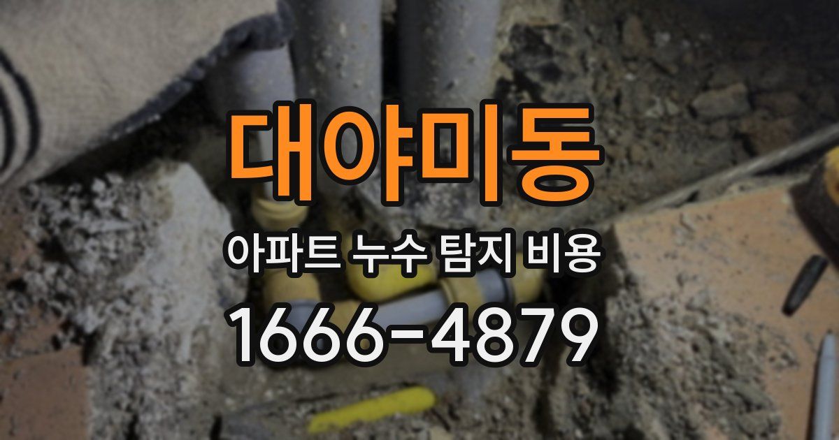 대야미동 아파트 누수 탐지 비용