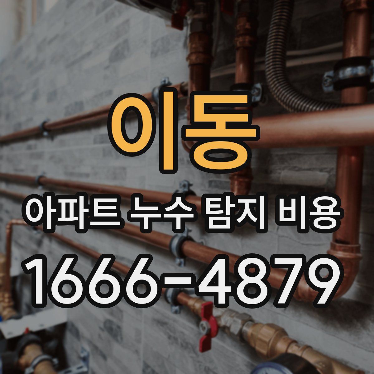 이동 아파트 누수 탐지 비용