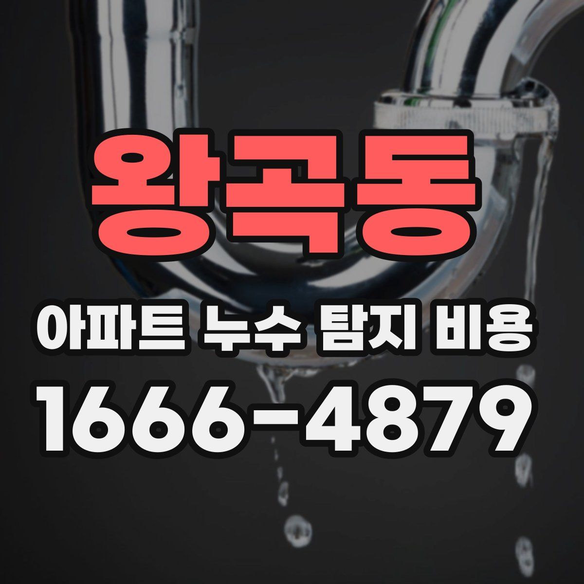 왕곡동 아파트 누수 탐지 비용