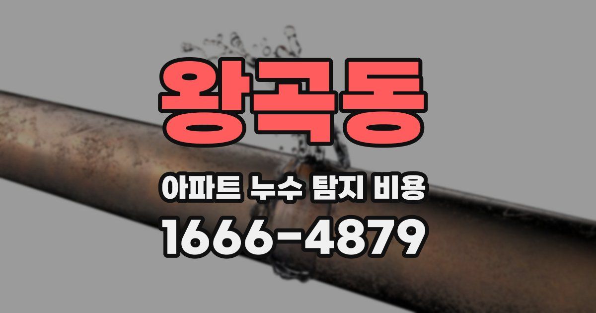 왕곡동 아파트 누수 탐지 비용