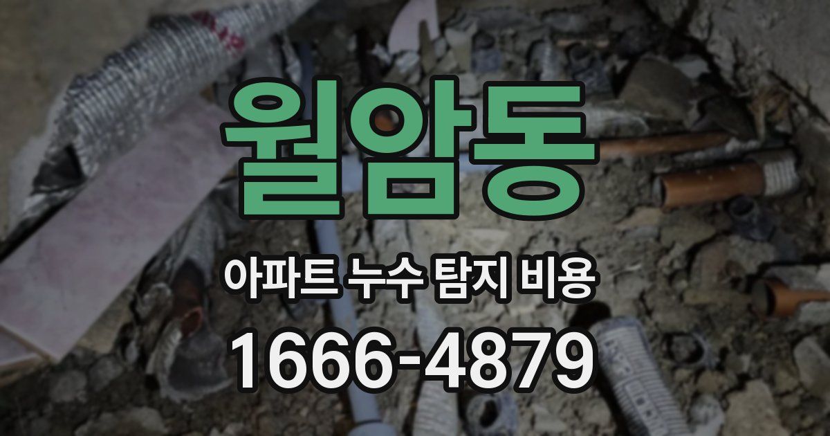 월암동 아파트 누수 탐지 비용