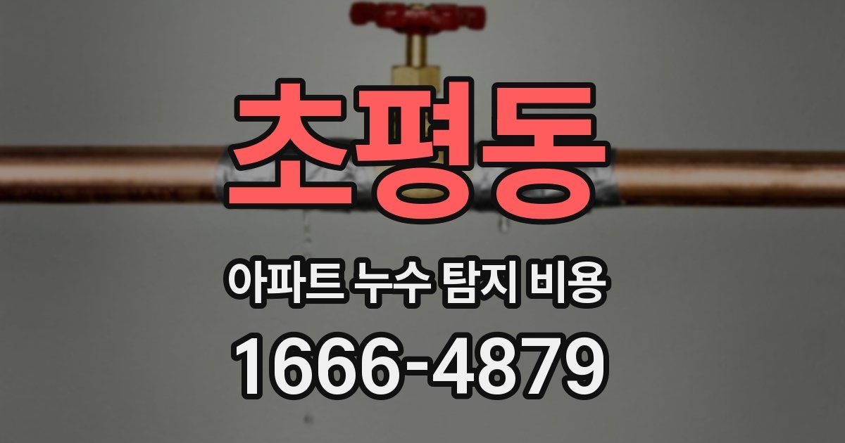 초평동 아파트 누수 탐지 비용