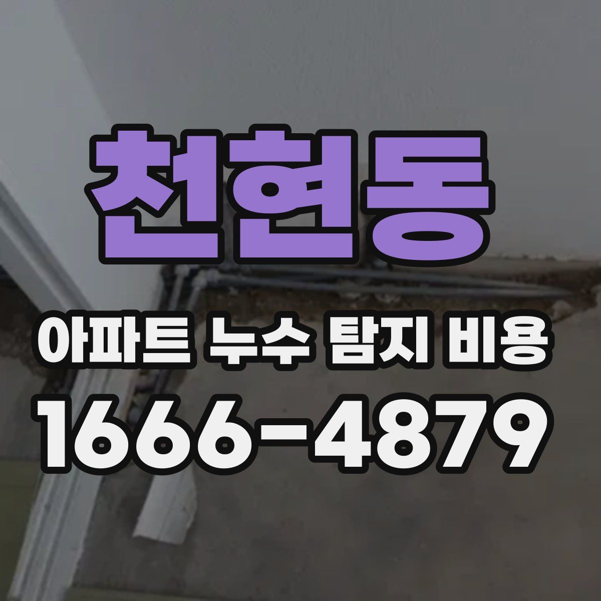 천현동 아파트 누수 탐지 비용