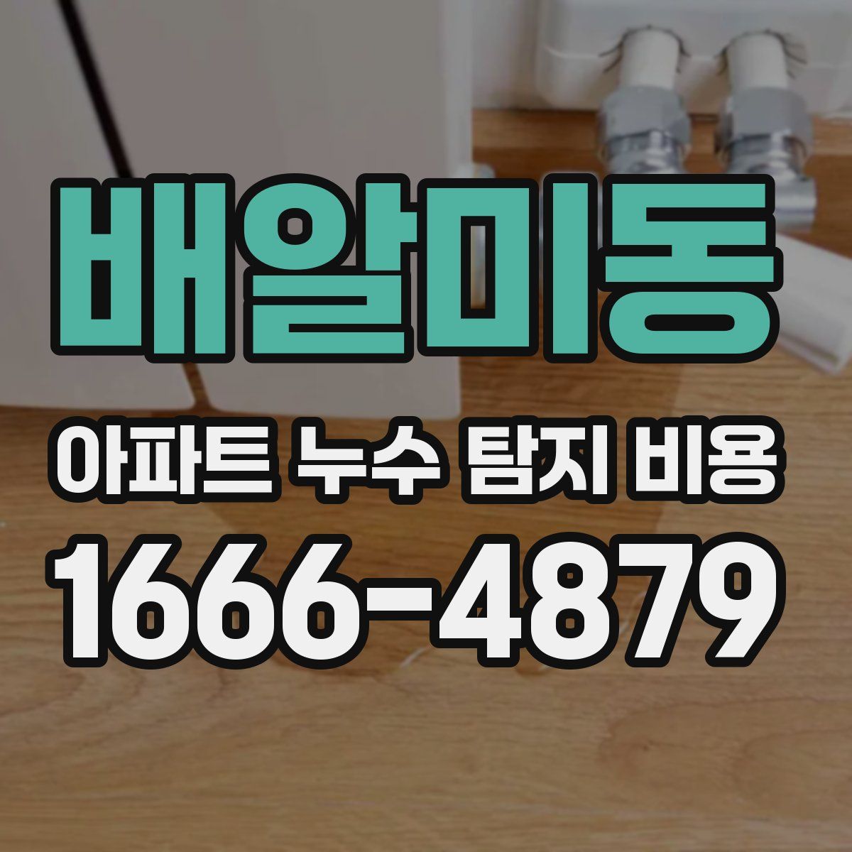 배알미동 아파트 누수 탐지 비용