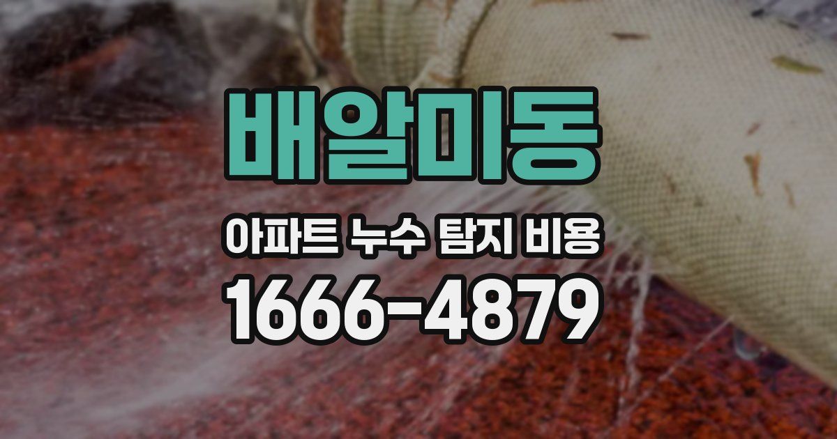 배알미동 아파트 누수 탐지 비용