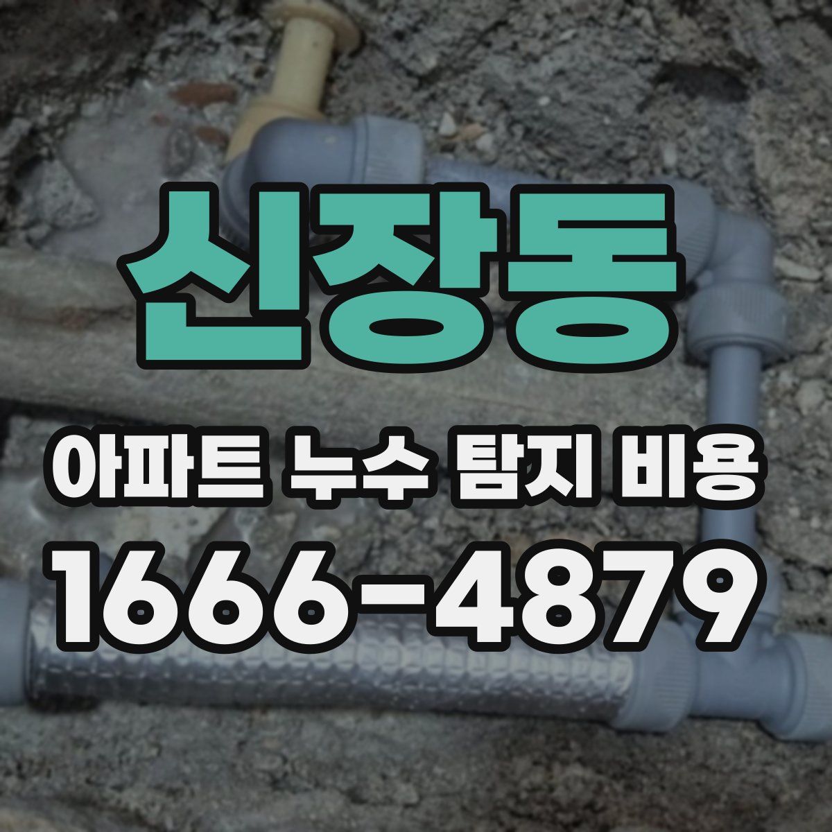 신장동 아파트 누수 탐지 비용