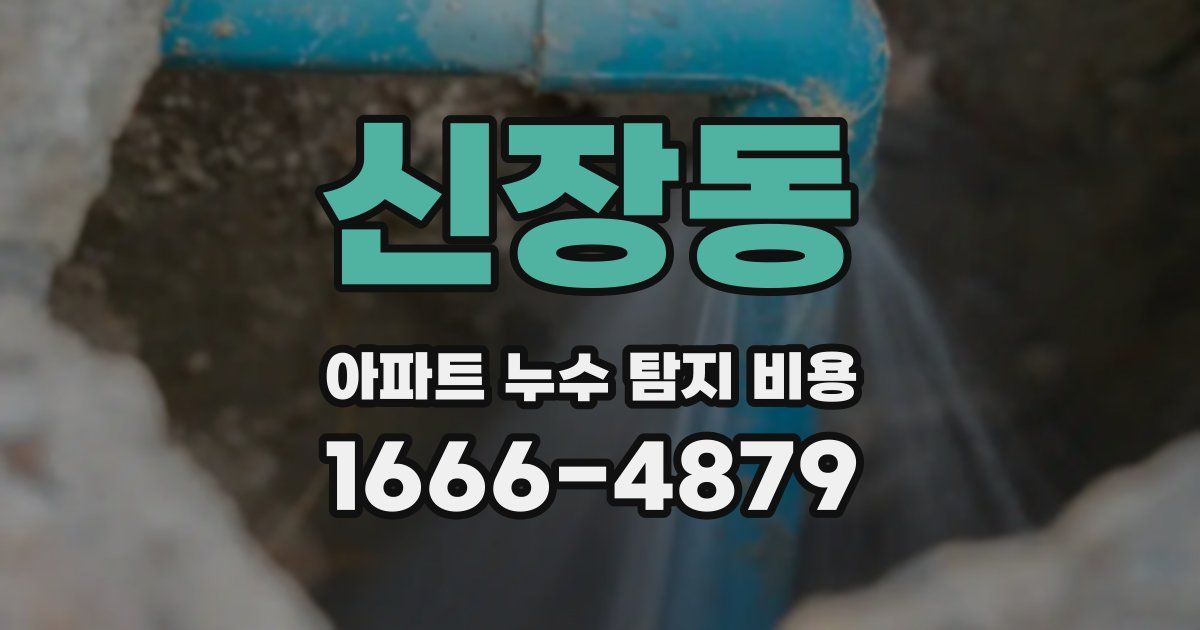 신장동 아파트 누수 탐지 비용
