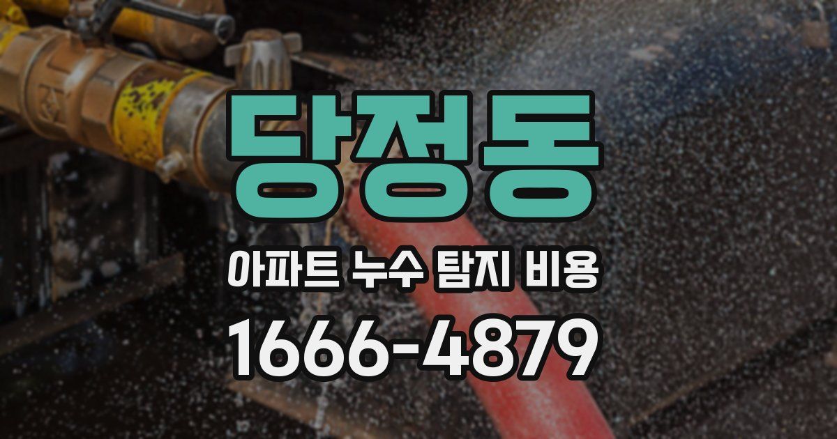 당정동 아파트 누수 탐지 비용