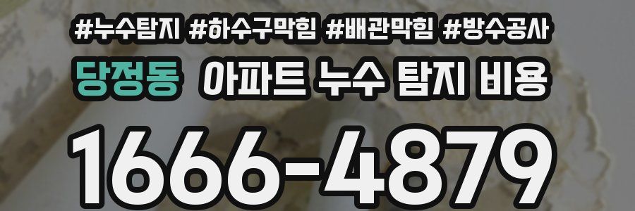 당정동 아파트 누수 탐지 비용