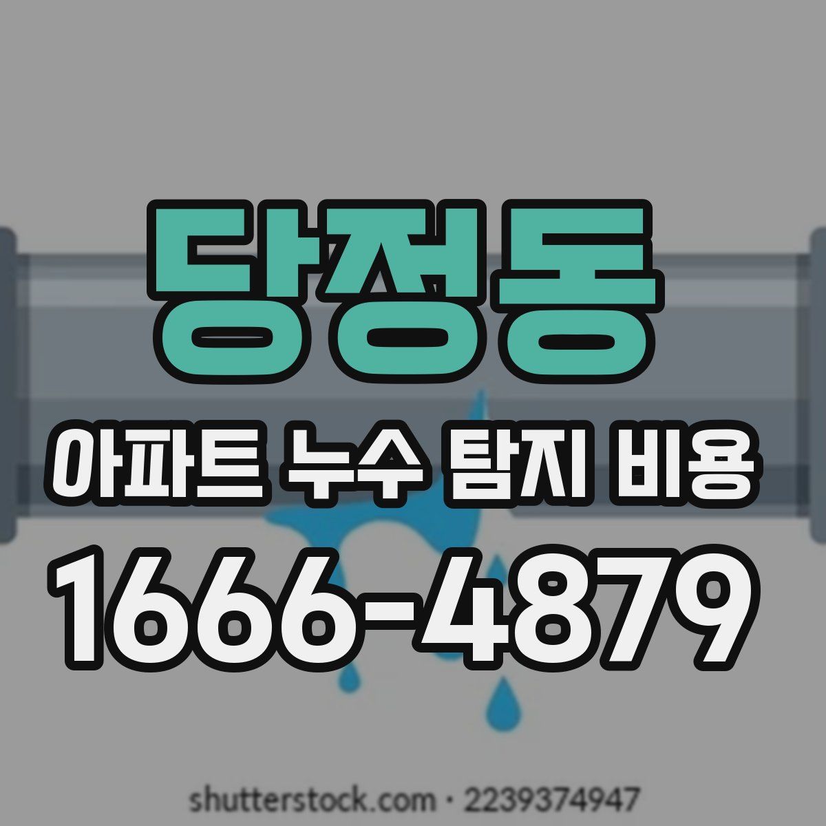 당정동 아파트 누수 탐지 비용