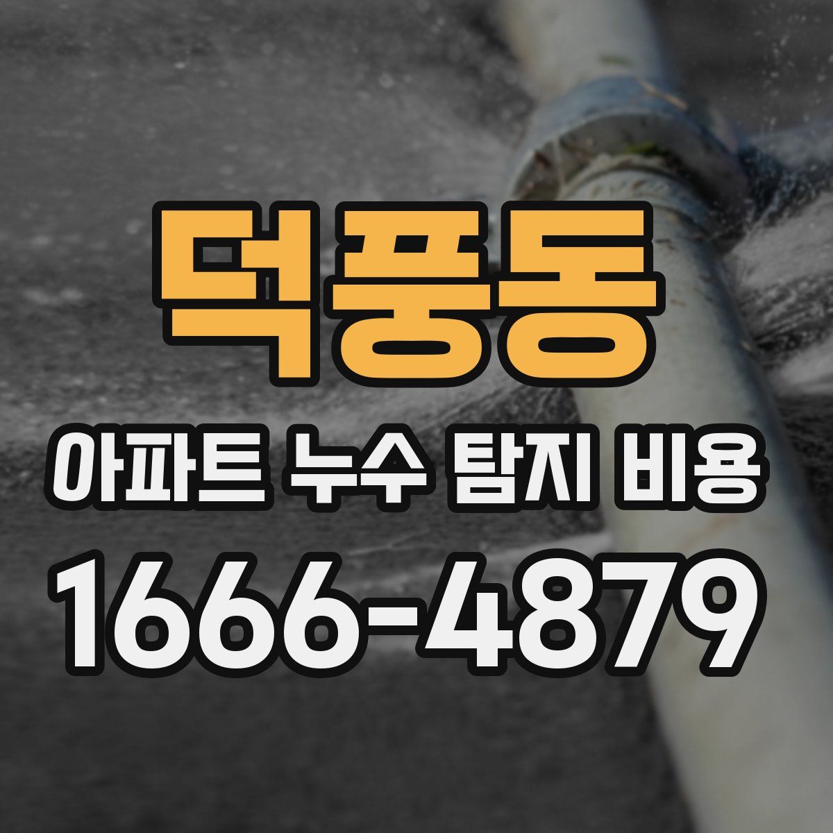 덕풍동 아파트 누수 탐지 비용