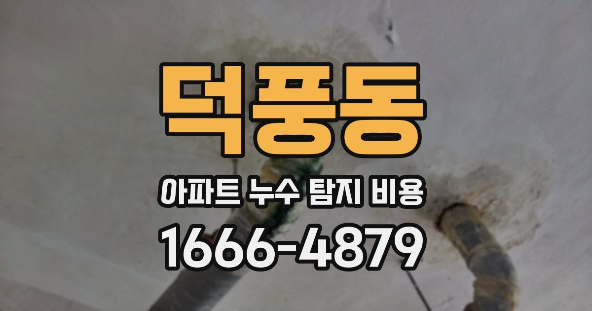 덕풍동 아파트 누수 탐지 비용