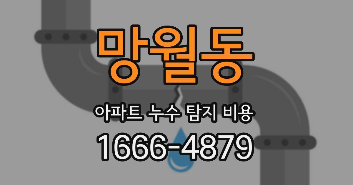 망월동 아파트 누수 탐지 비용