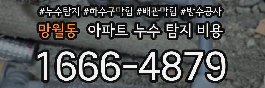 망월동 아파트 누수 탐지 비용