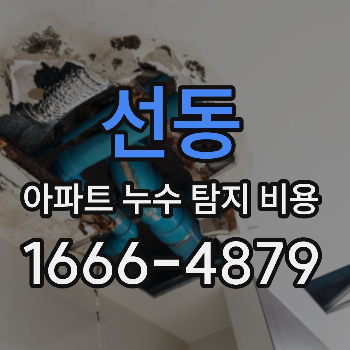 선동 아파트 누수 탐지 비용