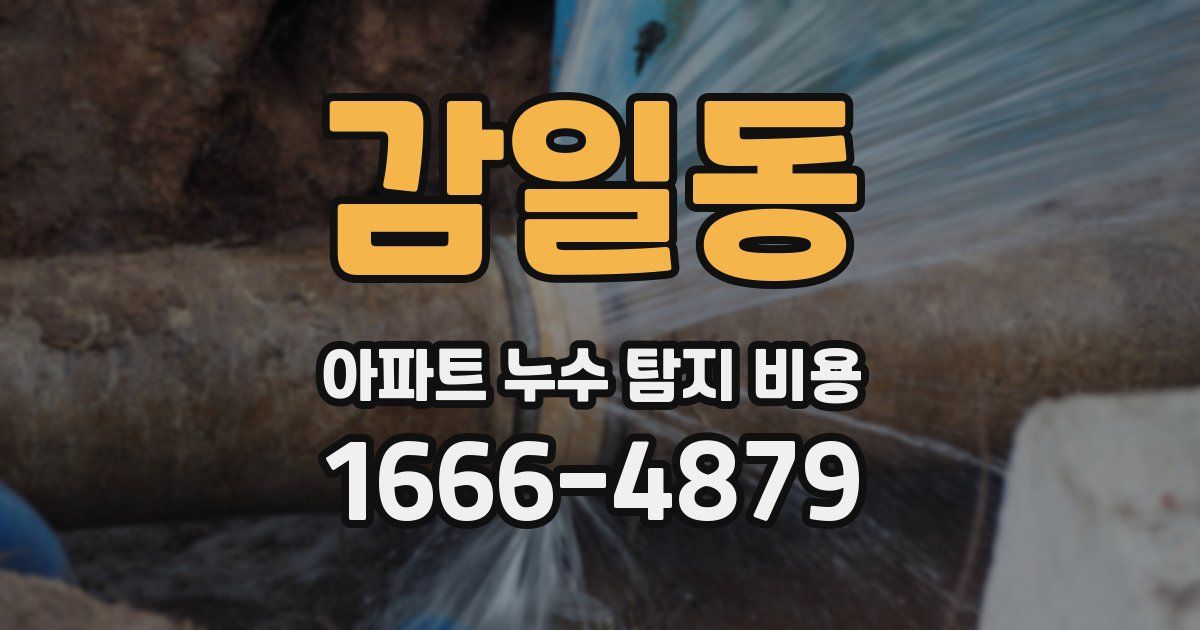 감일동 아파트 누수 탐지 비용