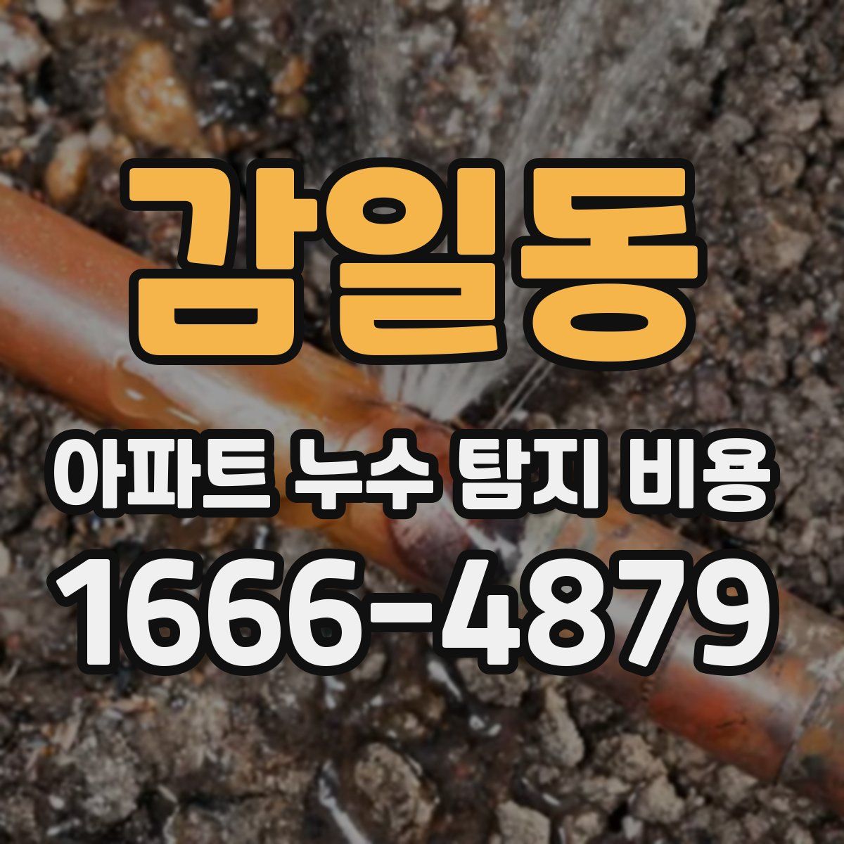 감일동 아파트 누수 탐지 비용