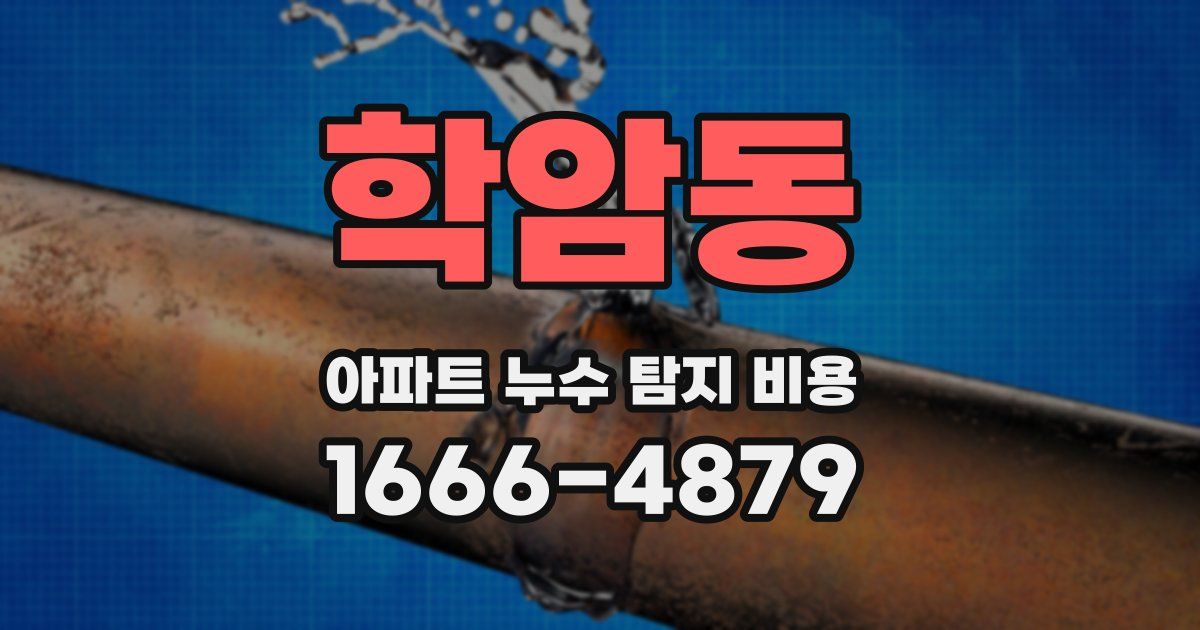 학암동 아파트 누수 탐지 비용