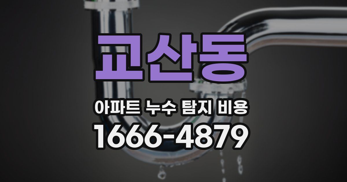 교산동 아파트 누수 탐지 비용