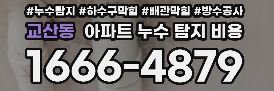 교산동 아파트 누수 탐지 비용