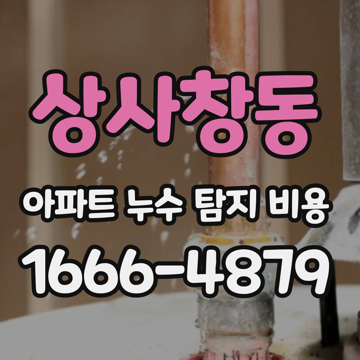 상사창동 아파트 누수 탐지 비용