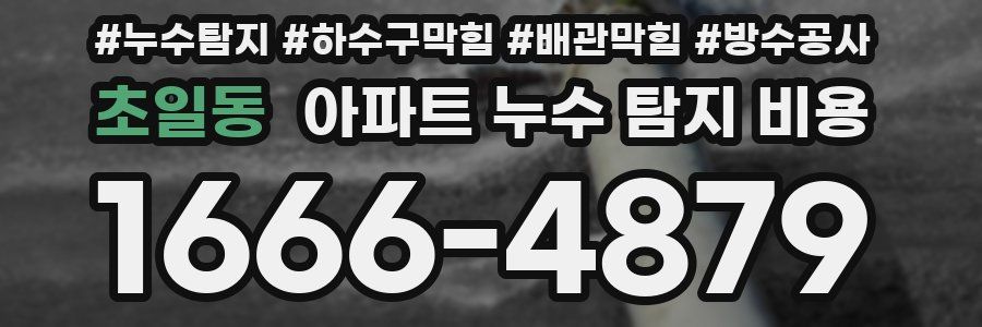 초일동 아파트 누수 탐지 비용