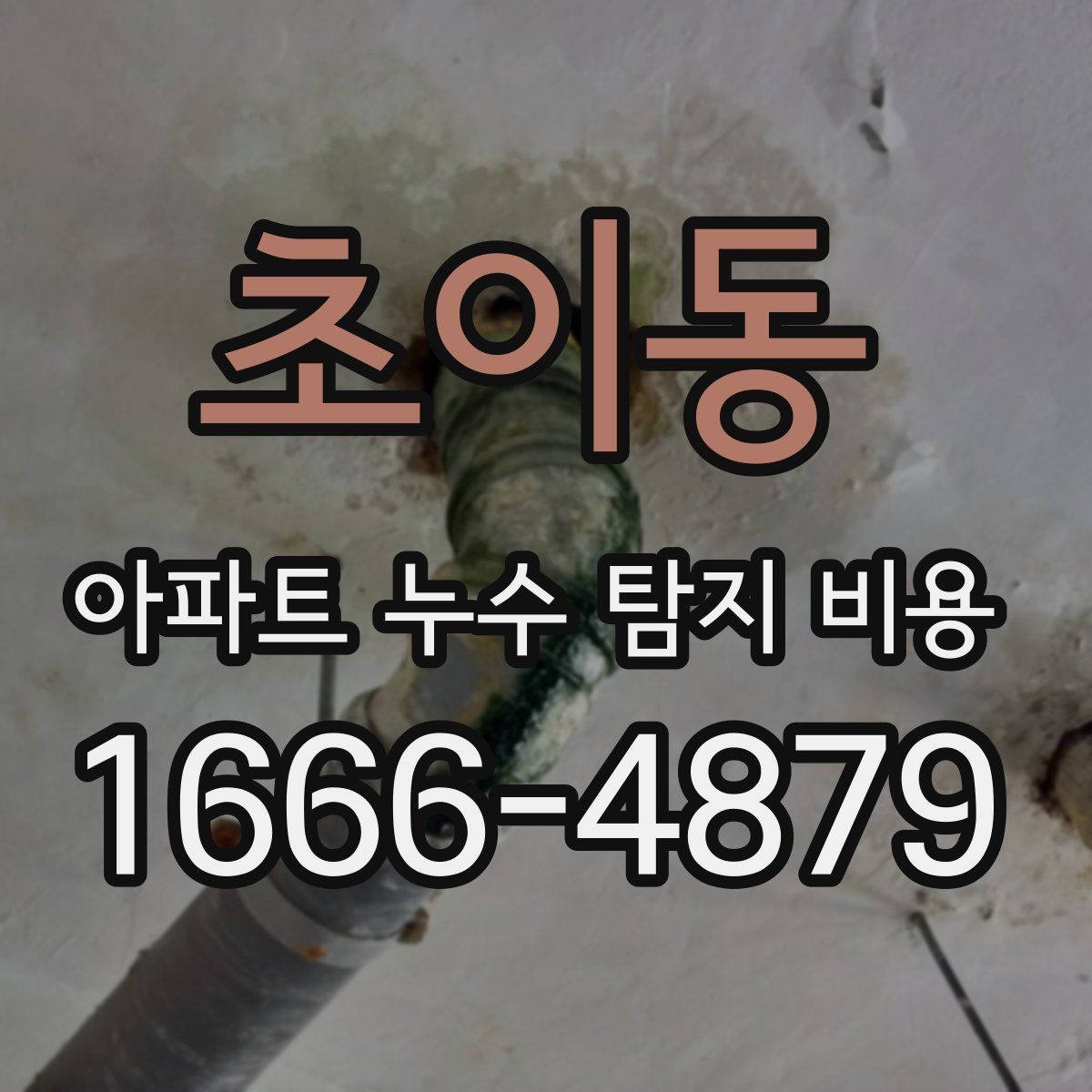 초이동 아파트 누수 탐지 비용