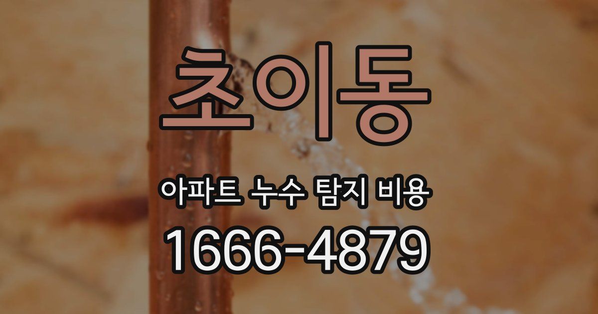초이동 아파트 누수 탐지 비용