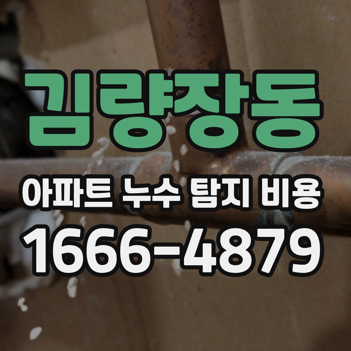 김량장동 아파트 누수 탐지 비용