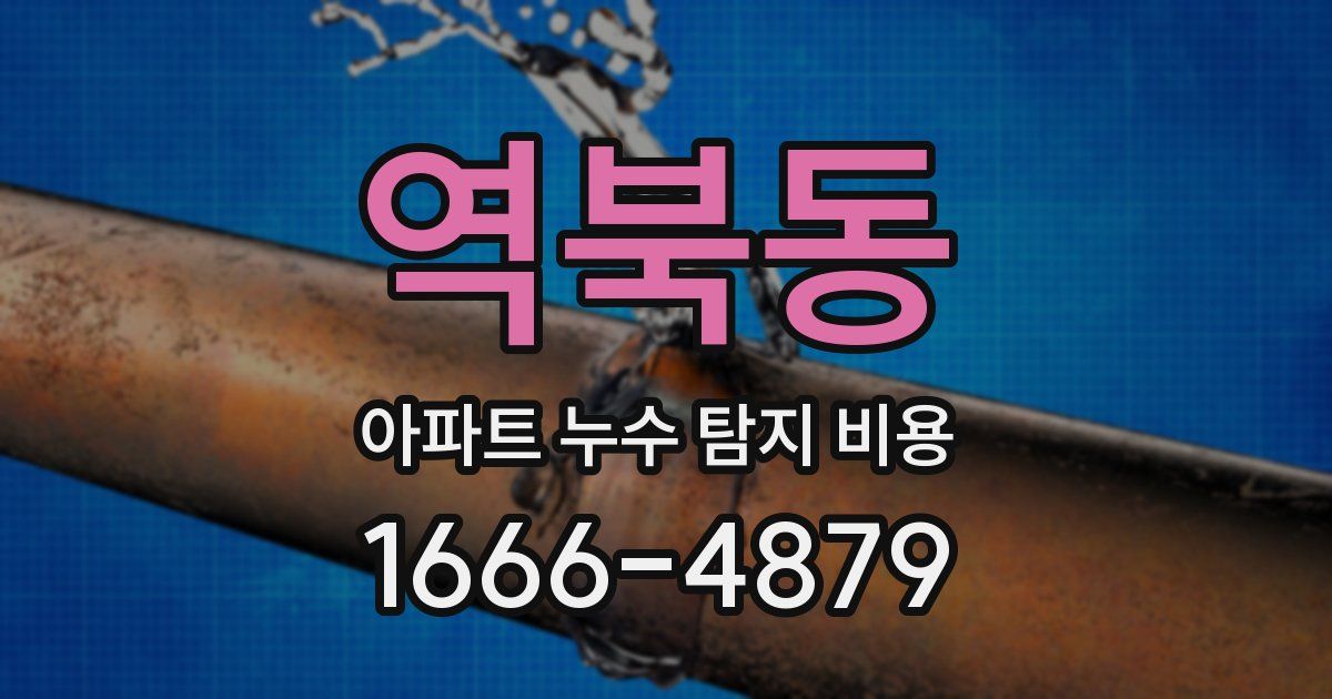 역북동 아파트 누수 탐지 비용