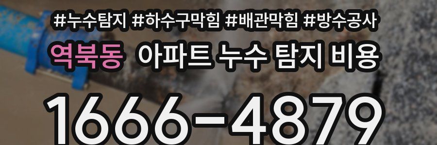 역북동 아파트 누수 탐지 비용