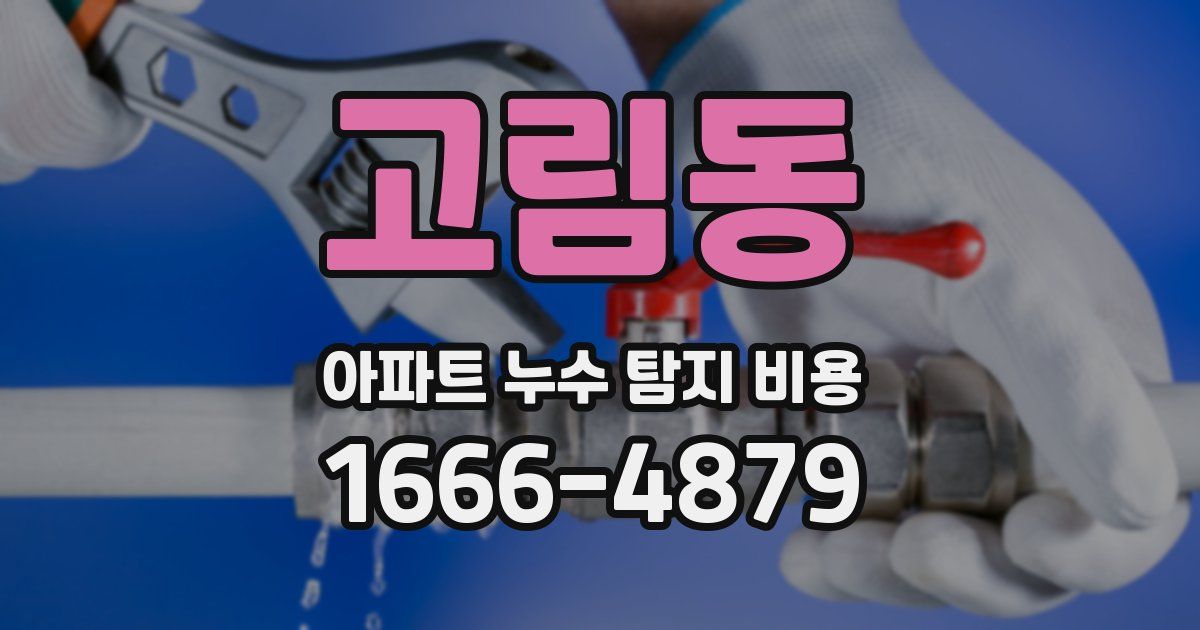 고림동 아파트 누수 탐지 비용